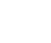 Jerin Solomon logo